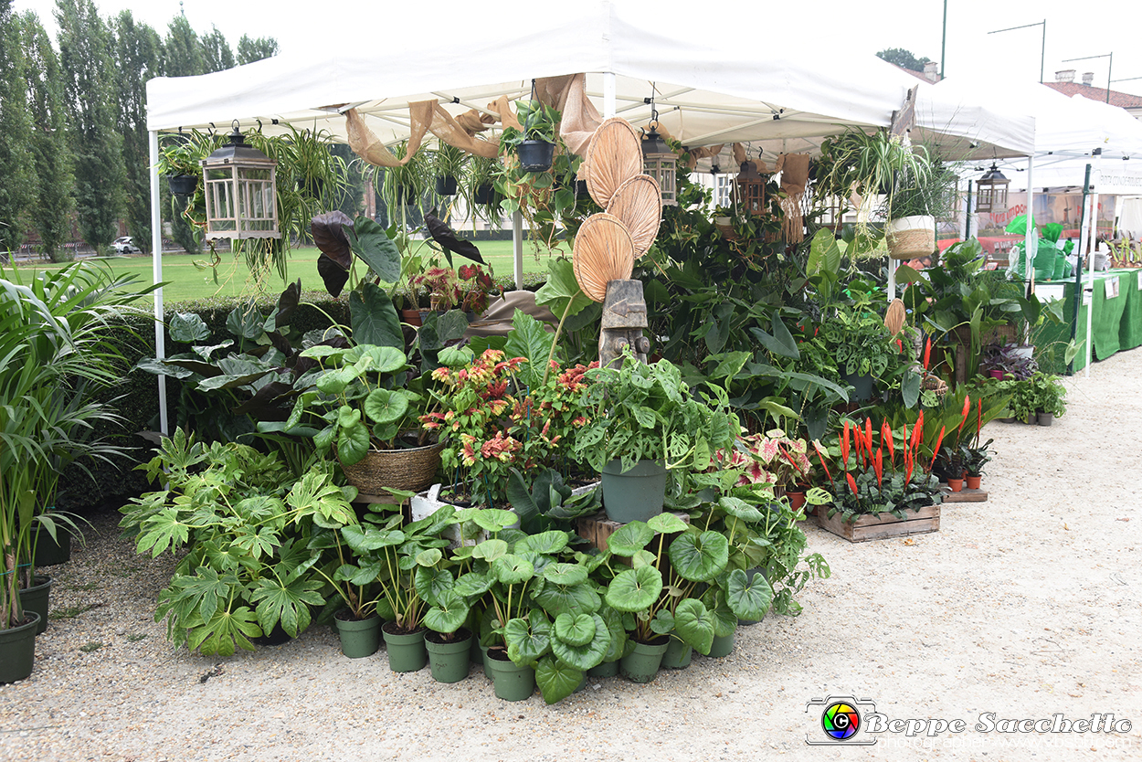 VBS_3411 - Floreal 2023 - Vivere con le piante.jpg